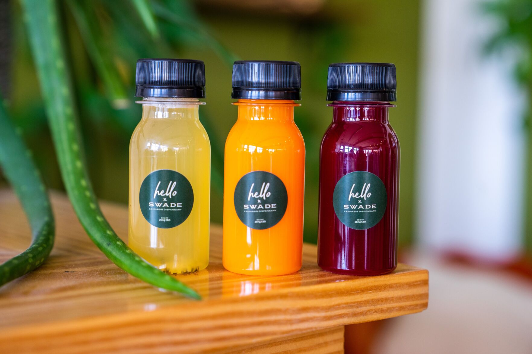 hello juice x SWADE